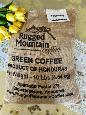 NEW PRODUCT!  Morning Splendeur Green Coffee (10lbs)