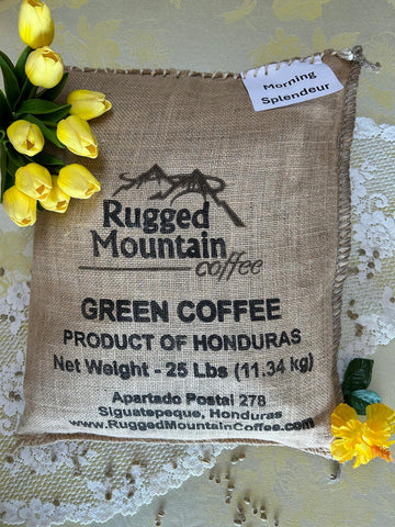 NEW PRODUCT!  Morning Splendeur Green Coffee (25lbs)